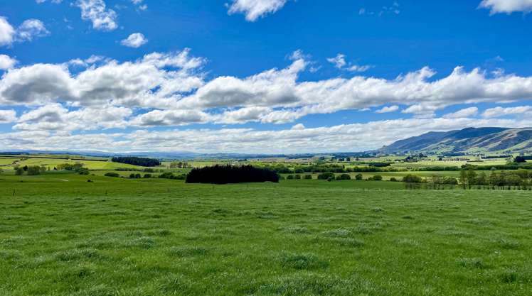 650 Koi Flat Road Gore Surrounds_10