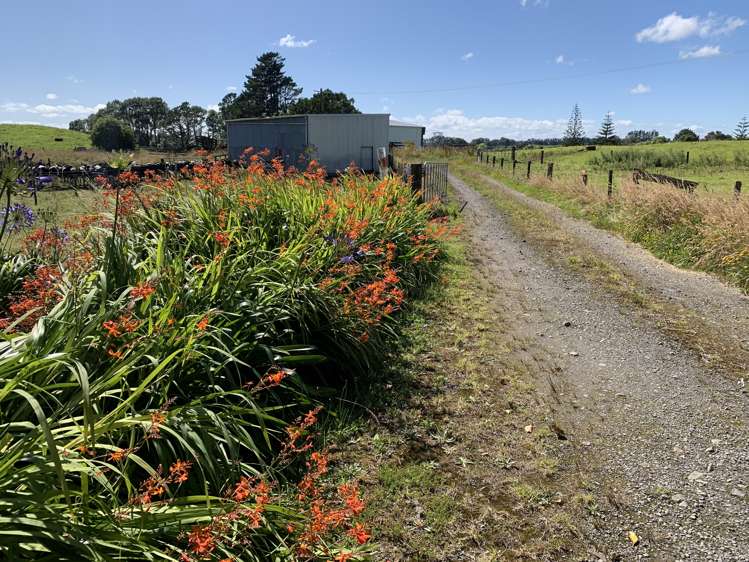 2121 Mountain Road Tariki_11