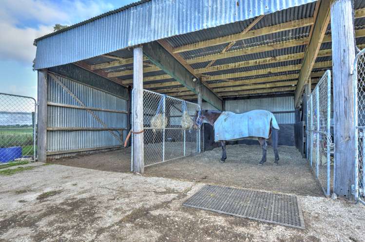 791 Wyndham Letterbox Road Wyndham Surrounds_15