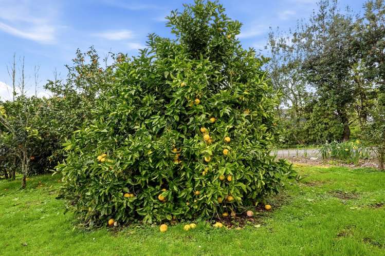 497A Tara Road Mangawhai_20