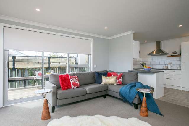 43 Reading Street Greytown_3