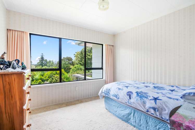 457 Crane Road Kauri_7