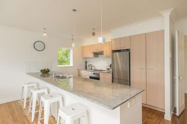66 Peary Road Mount Eden_4