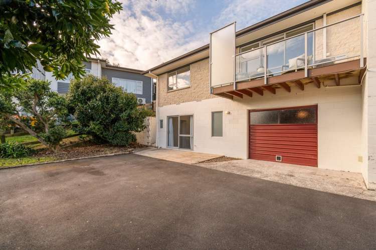 214B Bellevue Road Bellevue_14