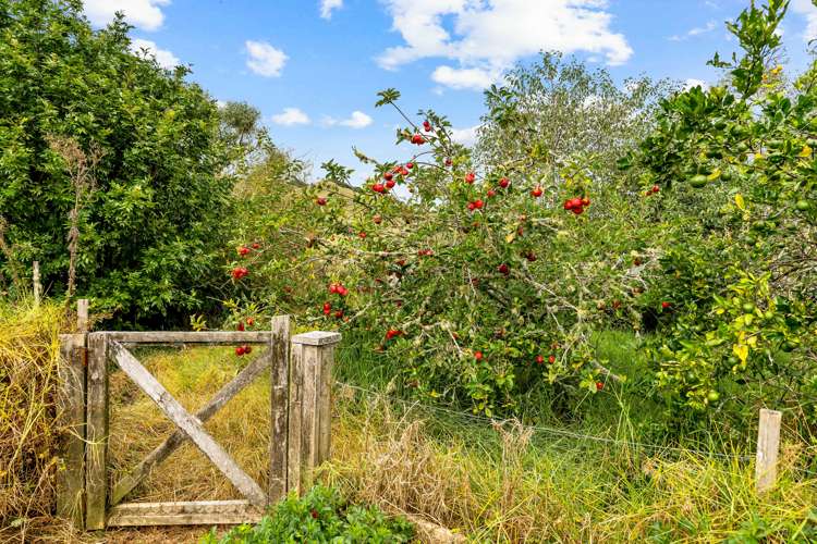 67 O'Carroll Road Maungakaramea_22