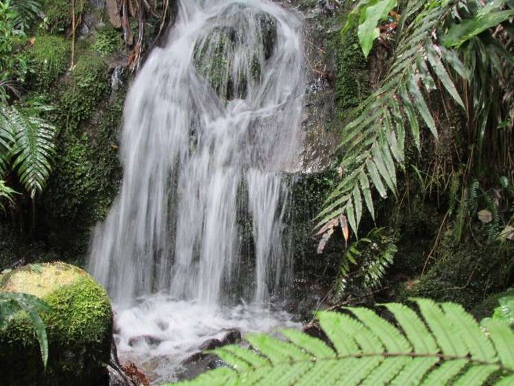 124 Victoria Street Whakatete Bay_2