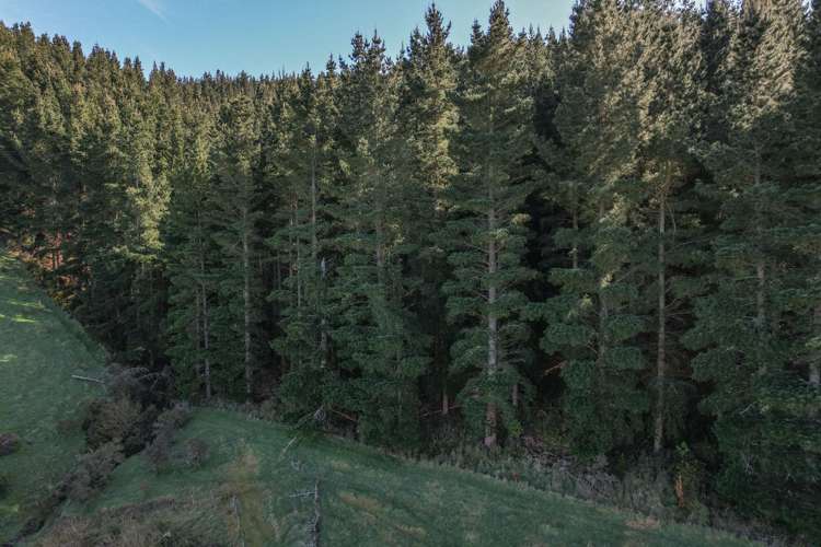 245 Sladdens Bush Road_3