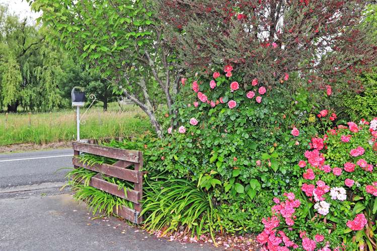 26 Eagle Street Waipawa_14