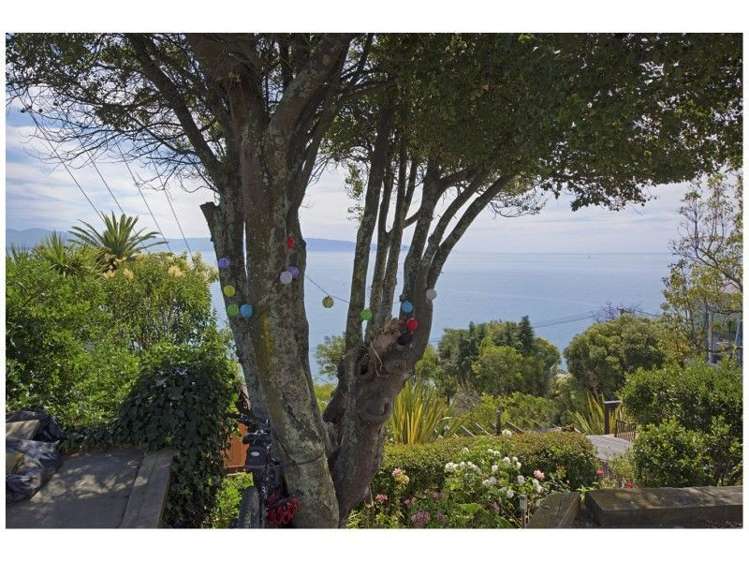 41 Bisley Avenue Moana_16