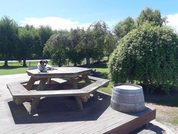 410 Ngapuna Road Middlemarch_10