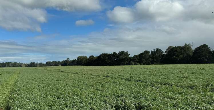 314 Campbell Road Richmond Downs_2