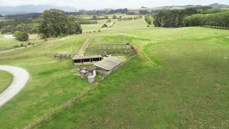 374 Rakauwahia Road Taheke_18