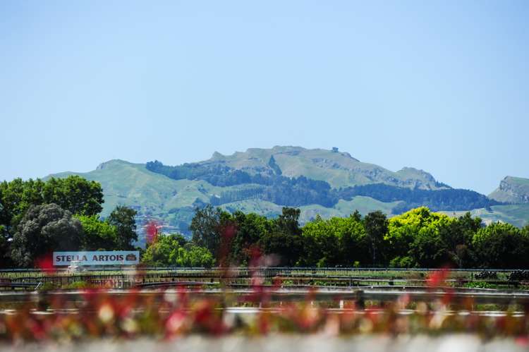 715 Southland Road Raureka_17