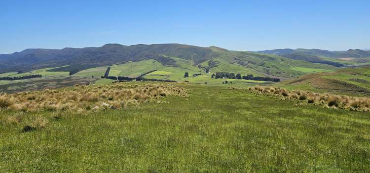 623 Slopedown Road Catlins Surrounds_18