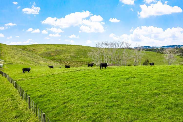 The Farmhouse I Quintal Road Matakana_41