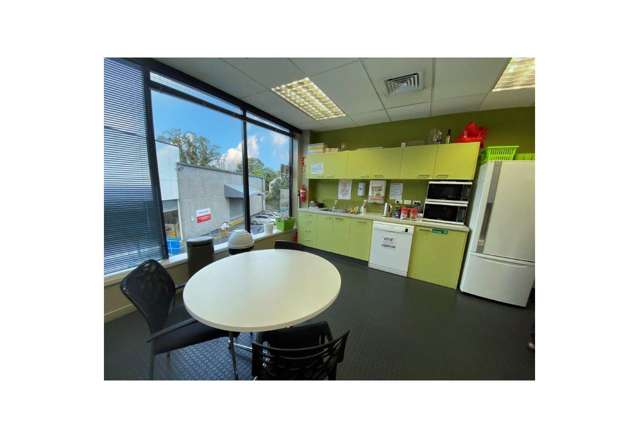 5 Wilkins Street Freemans Bay_3