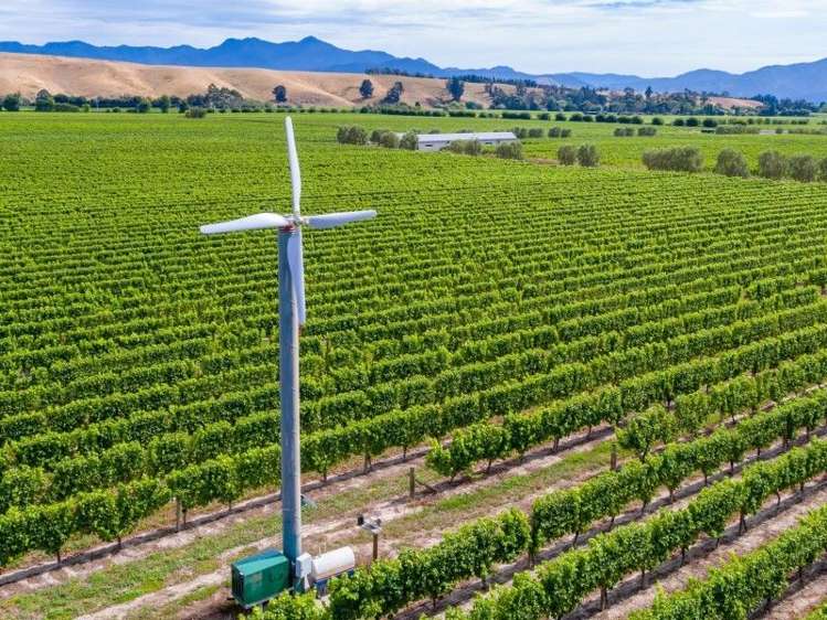 290 Brookby Road Hawkesbury_15