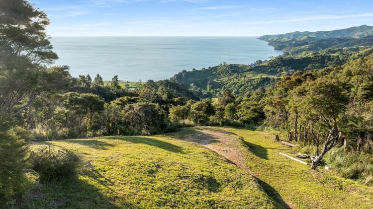 98 Tapu Rise Heights Thames_8