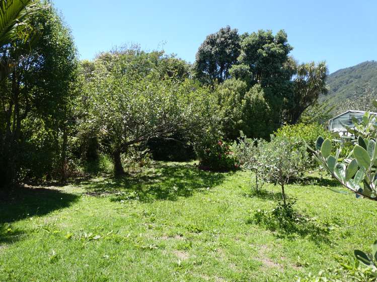 7 Corbett Street Hector_17