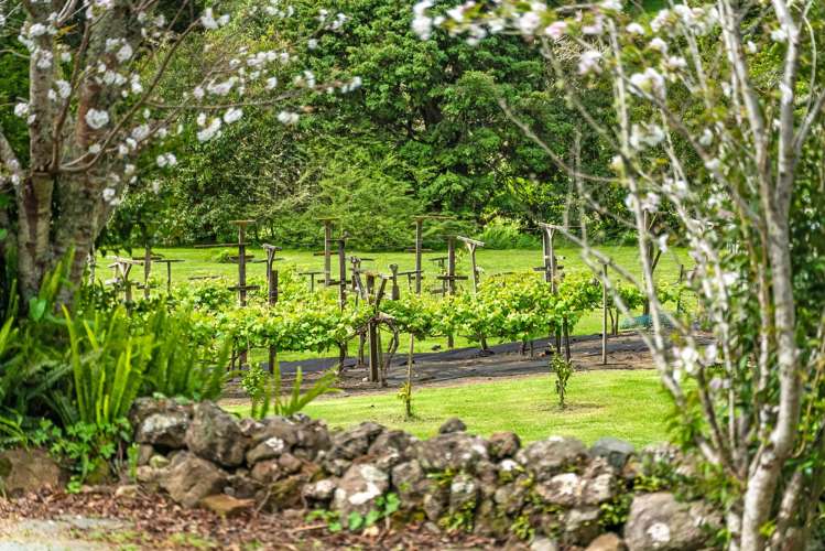 83 Alcoba Street Kamo_5