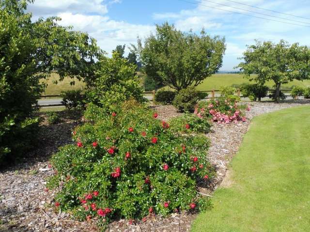 113 Downs Road Geraldine_3