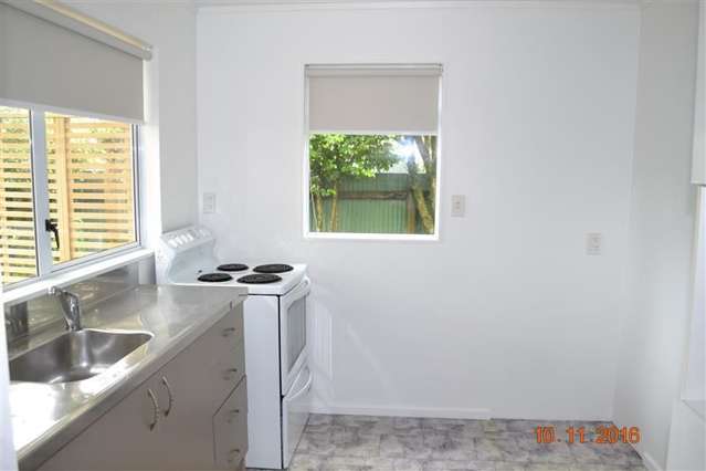 14a Savage Crescent Marewa_4