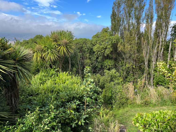 54 Earls Road Saint Clair_25