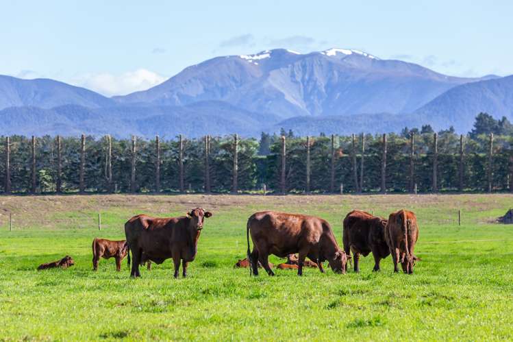 1 Waimakariri Gorge Road Oxford_30