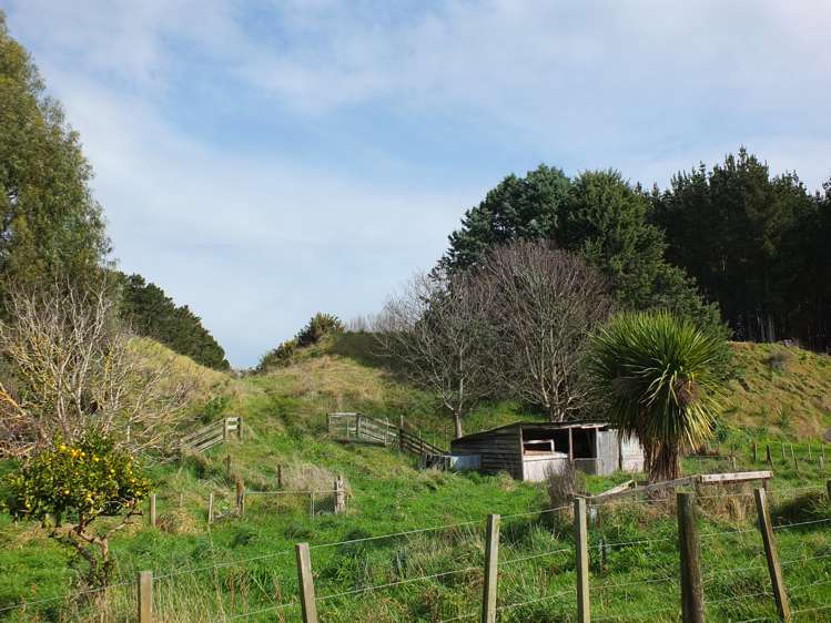 98 Union Street Foxton_19