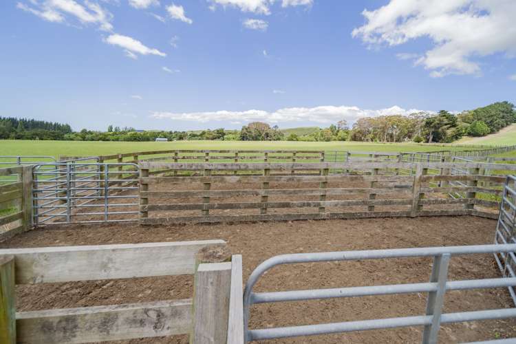 235 Otope Road Dannevirke_18