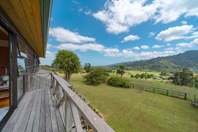 131 Totara Valley Road Thames_1