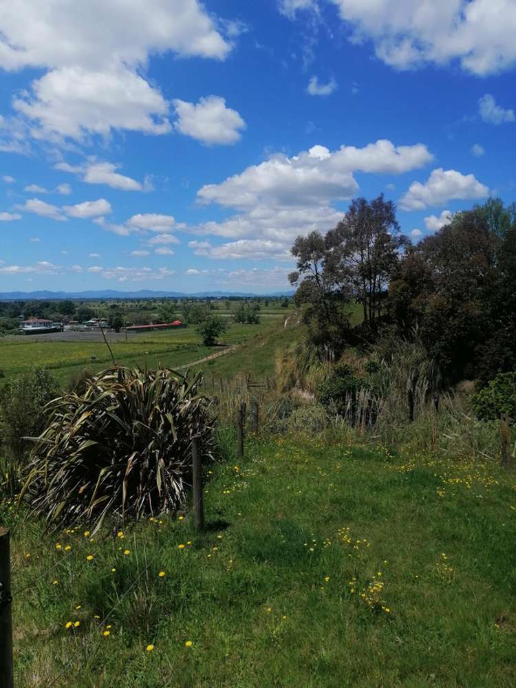 722b Back Miranda Road Miranda Franklin Houses for Sale One Roof
