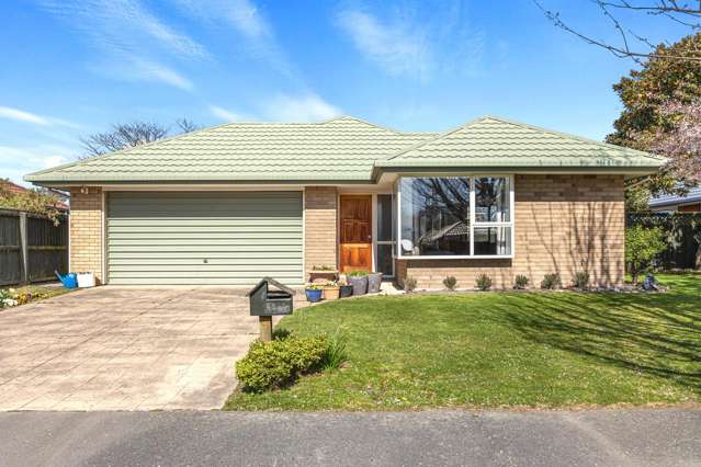 45 Showgate Avenue Sockburn_1