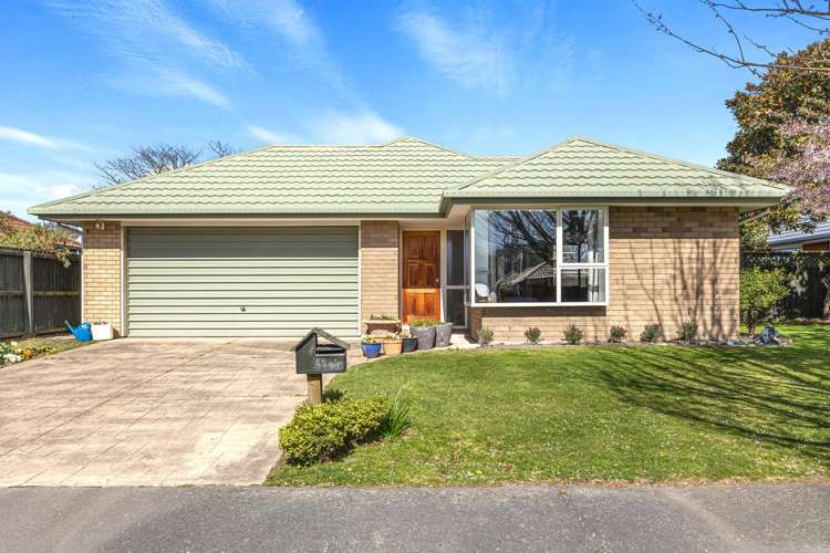 45 Showgate Avenue Sockburn_1