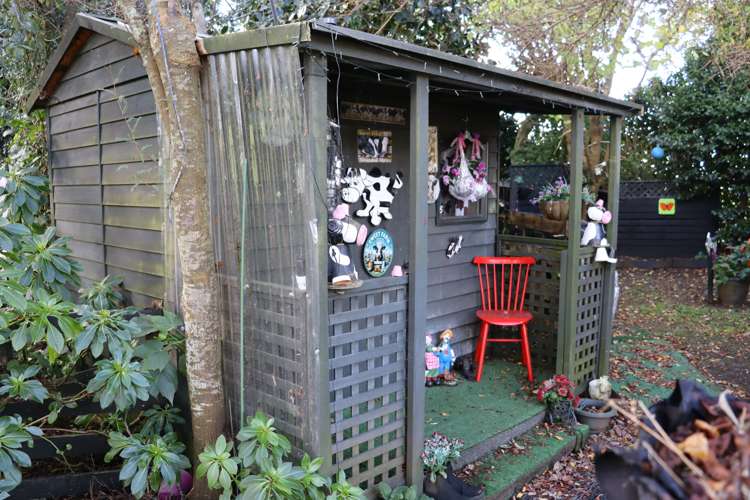 344 Hursthouse Road Inglewood_19