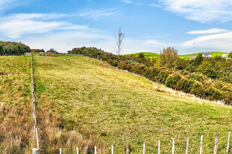 161 Ranganui Road Kaiwaka_43