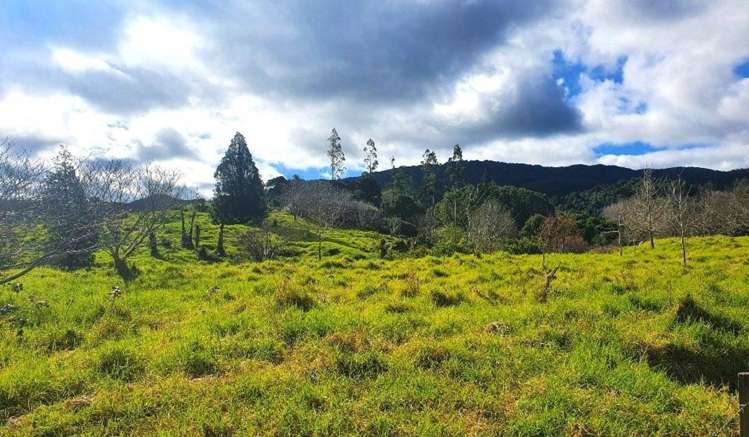 Wekaweka Road Waimamaku_17