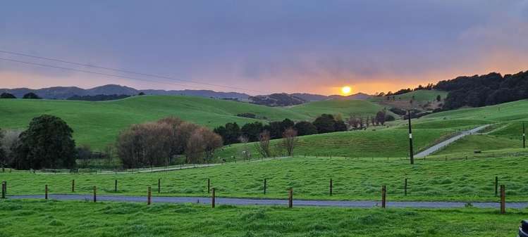 1540 Millbrook Road Taipuha_10