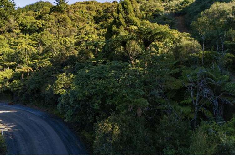 694 The 309 Road, Waiau Coromandel_17