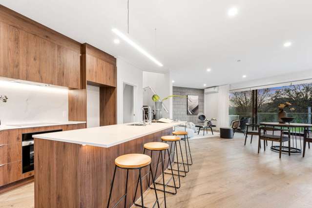 1/100 Walker Road Point Chevalier_4