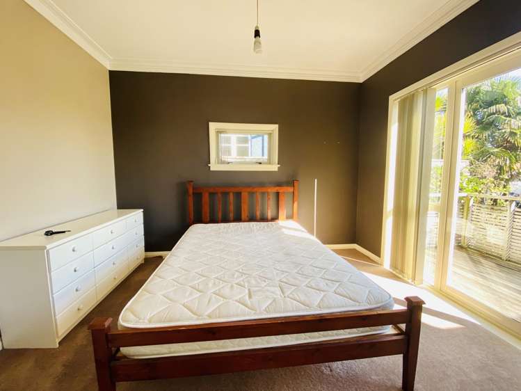 209 Powderham Street New Plymouth Central_13