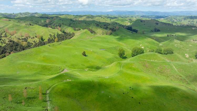 1163 Mangamako Road Ohingaiti_9