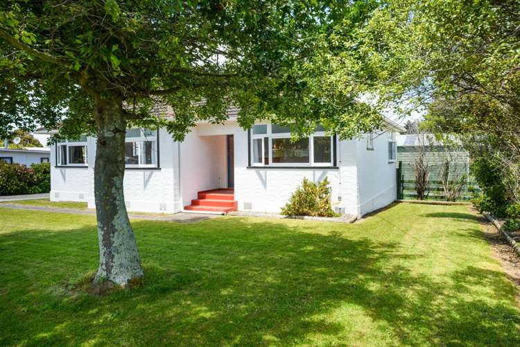 25 Flower Street Bulls_11