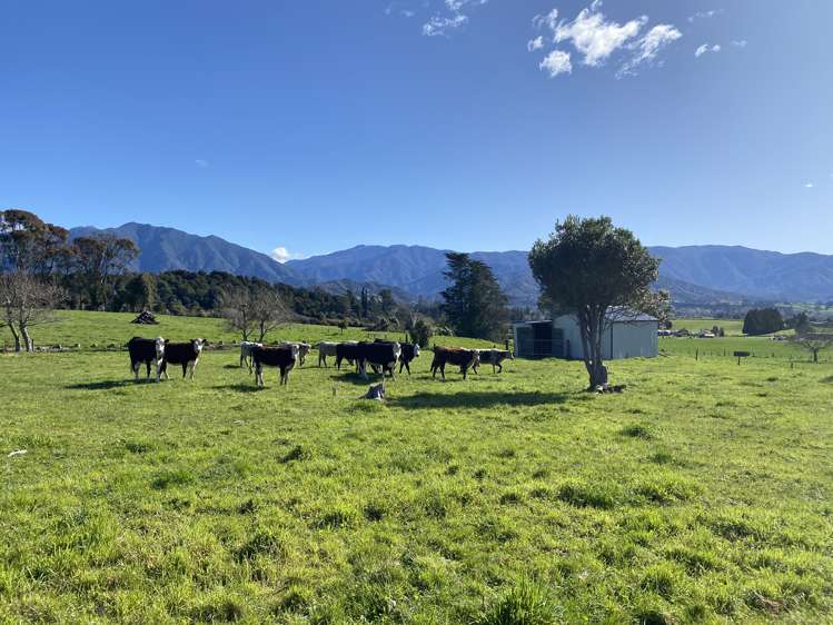 70 Central Takaka Road Takaka_17