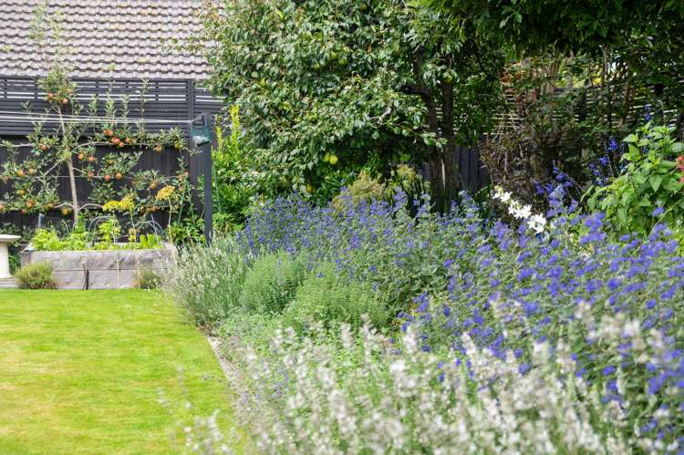 43 Colombo Street Cashmere_35