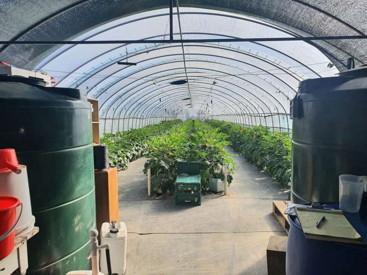 7 Ridge Road Tuakau_14