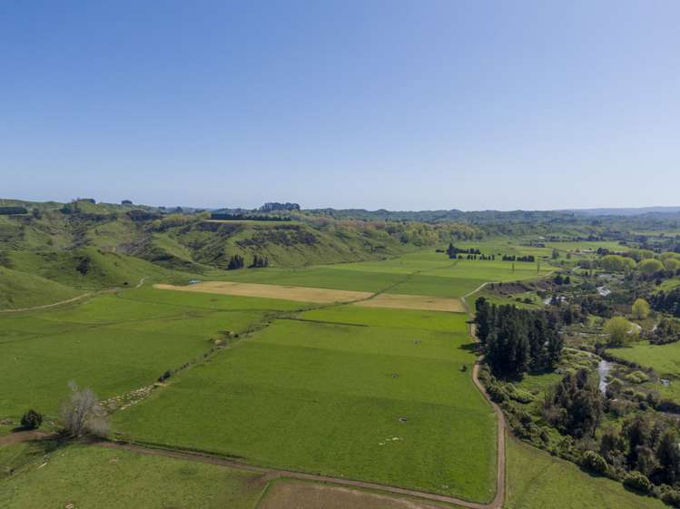 37 Karewarewa Road Rangiwahia_7