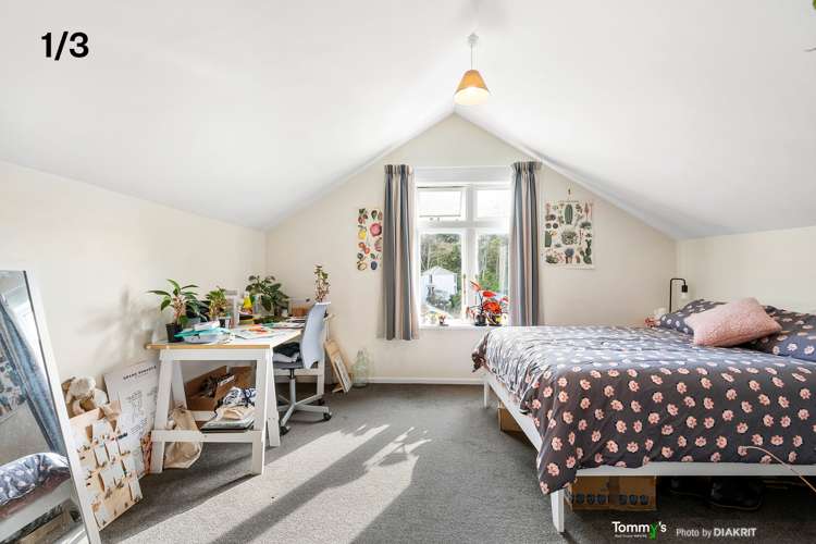 3 Alameda Terrace Aro Valley_5