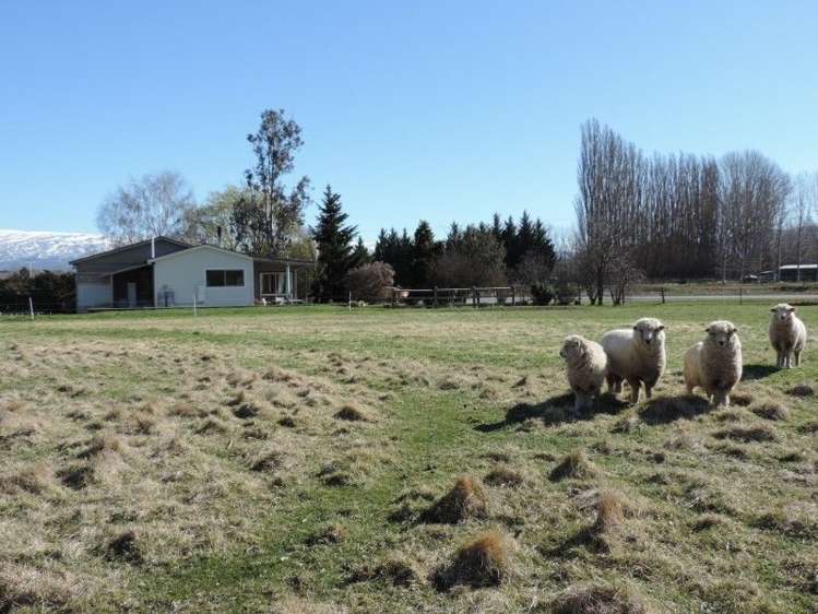 346 Galloway Road Alexandra_12