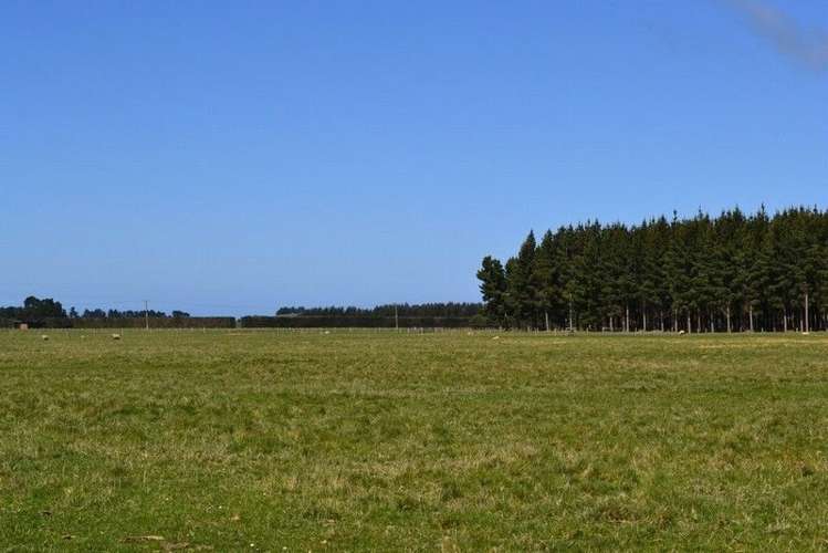 173 Bluff Hill Road Waianakarua_10